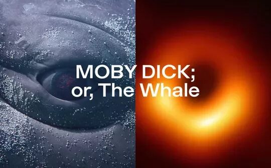 Meet the Whale - abgesagt