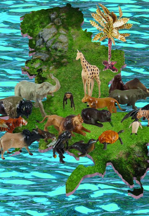 Kunstwerk aus der Serie «Regimes of Reproductions» von Pablo Boesch