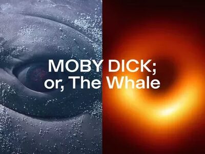 Meet the Whale - abgesagt