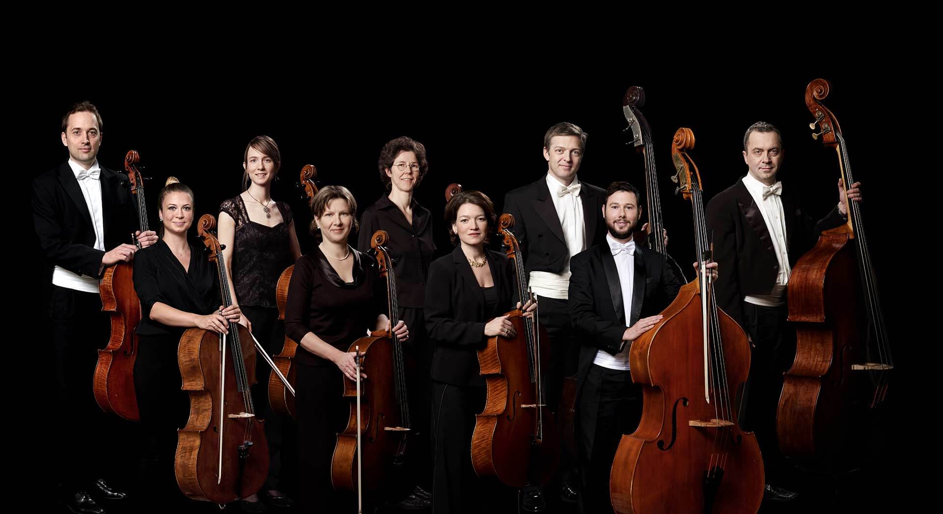 Violoncelli/Kontrabässe